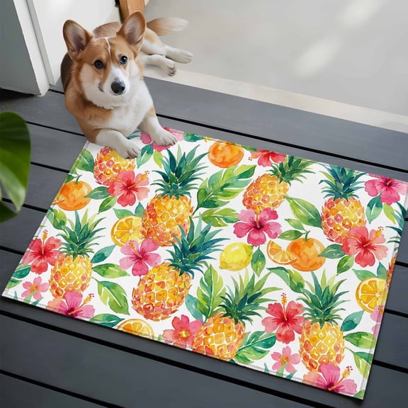 Pineapple Lemon Front Door Rugs 2x3 ft Watercolor Summer Fruits Floral Small Rug for Entryway Non Slip Washable Bathroom Door Mat Absorbent Floor Mat for Indoor Entrance