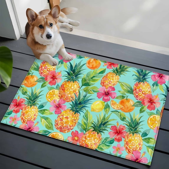 Pineapple Lemon Front Door Rugs 2x3 ft Watercolor Summer Fruits Floral Teal Small Rug for Entryway Non Slip Washable Bathroom Door Mat Absorbent Floor Mat for Indoor Entrance