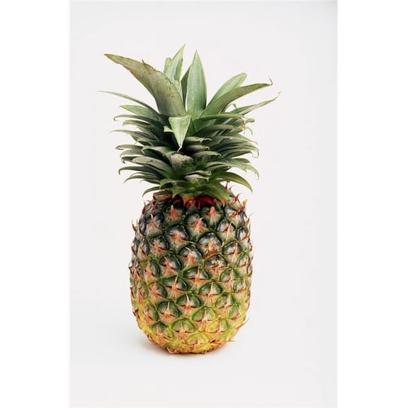 Pineapple Poster Print