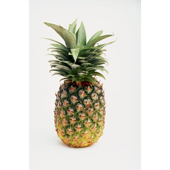 Pineapple Poster Print