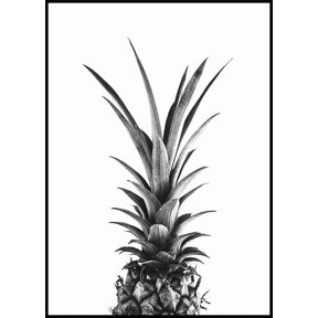 Pineapple Poster Wall Art Bedroom Wall Art Home Decor Office Wall Art Living Room Decor, Paper Poster Only