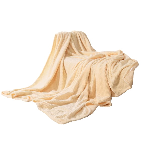 Pineapple Print Fleece Blanket, Thickened Solid Design, Sofa Throw Air Conditioning Cover, Lightweight Nap Blanket