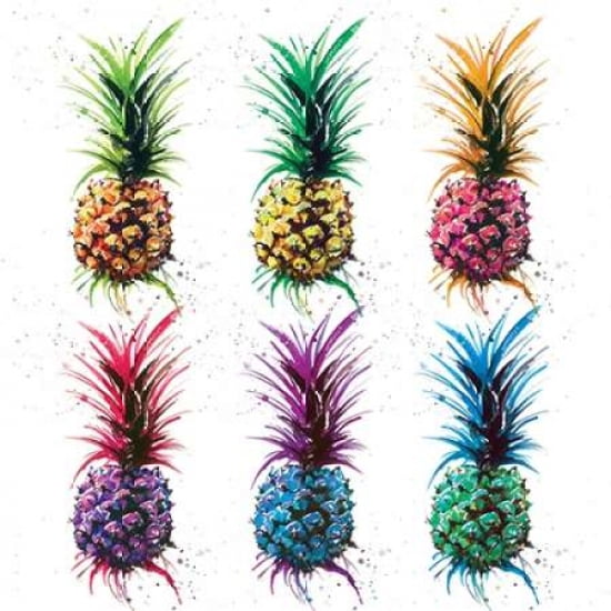 Pineapple Rainbow Canvas Art - Sarah Stokes (24 x 24)
