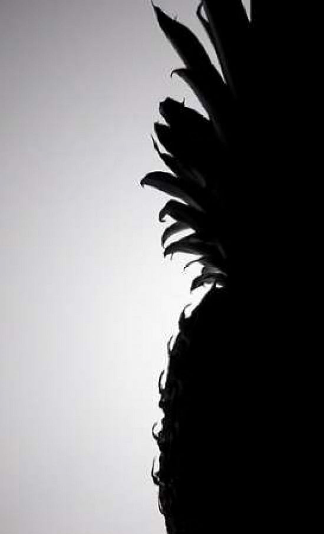 Pineapple Silhouette Canvas Art - Monika Burkhart (24 x 36)