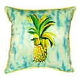 thumbnail image 1 of Pineapple Small Indoor/Outdoor Pillow 12x12, 1 of 3