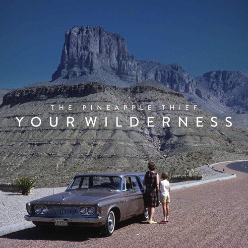 Pineapple Thief - Your Wilderness - Music & Performance - CD