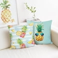 thumbnail image 1 of Pineapple Throw Pillow Covers 18 x 18 Inch Tropical Fruit Summer Decorative Pillows Soft Velvet Cushion Cases for Outdoor Couch Sofa Bed Home Decor Set of 2, 1 of 6