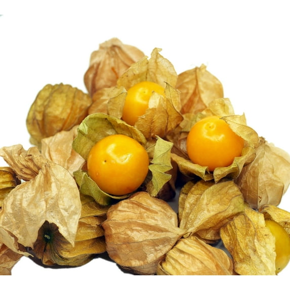 Pineapple Tomatillo Seeds/Perennial/Full Sun/150K seeds 1/4 lb/Zellajake Farm and Garden- B271
