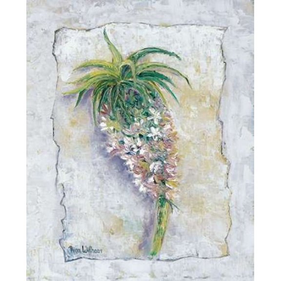 Pineapple bloom Poster Print by Rian Withaar (10 x 12)