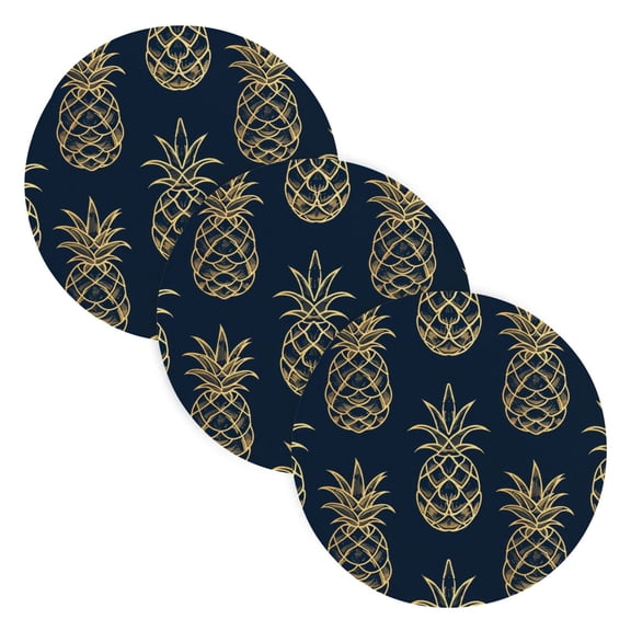 Pineapples Outline 3 Pcs Pot Holders Trivets Set Woven Heat-Resistant Kitchen Round Mats Large Hot Pads for Cooking Baking Counter Table