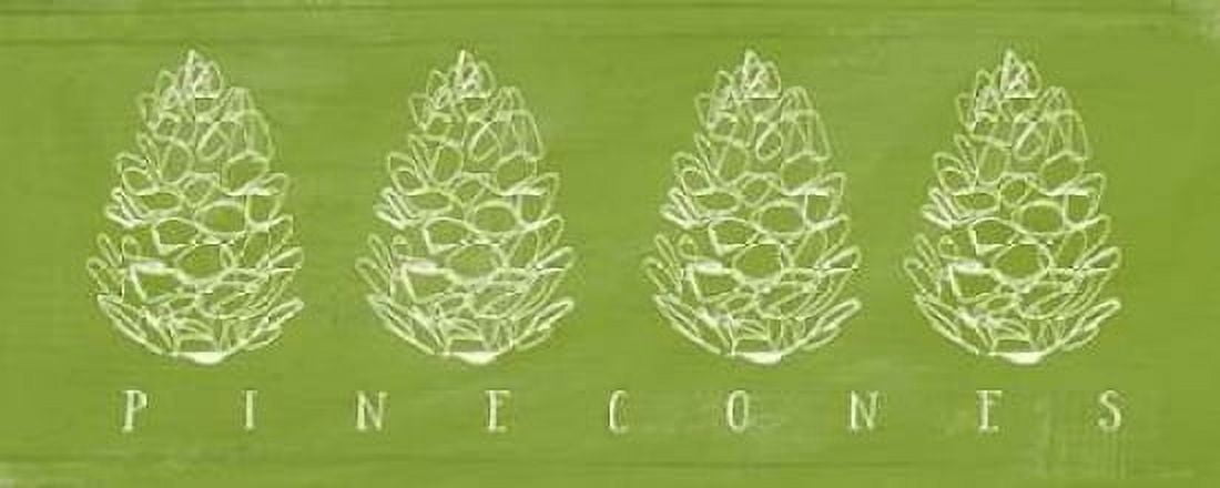 Pinecones Canvas Art - Linda Woods (24 x 48)