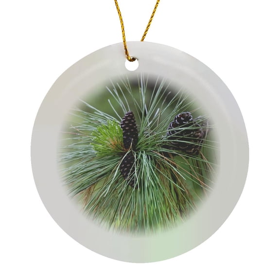 3drose, Pinecones, Ponderosa Pine Tree, Idaho - Us13 Dfr0832 - David R. Frazier, Circle Porcelain Ornament