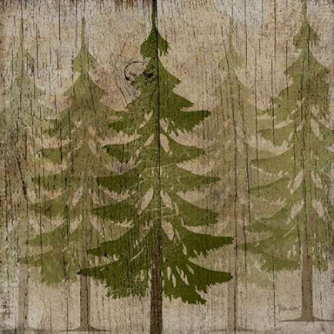 Pines Canvas Art - Beth Albert (24 x 24)