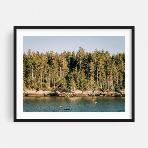 Pines, Sprucehead Island - South Thomaston Maine Photography Black Framed Wall Art Print 16 x 20 inches