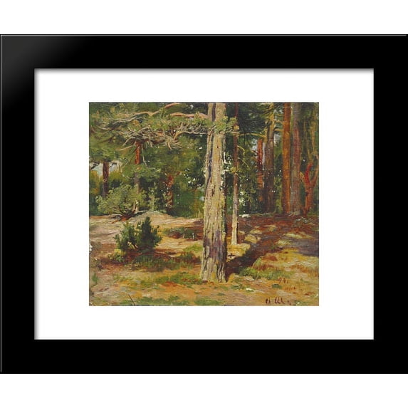 Pines. Summer Landscape 20x24 Framed Art Print by Ivan Shishkin