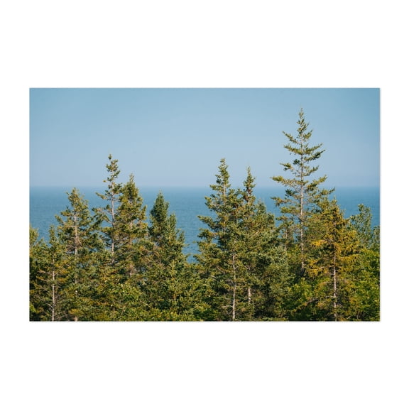 Pines in Acadia - Maine Photography Nature Forest Ocean Coast Scenic Landscape Woodland Unframed Wall Art Print 24 x 36 inches