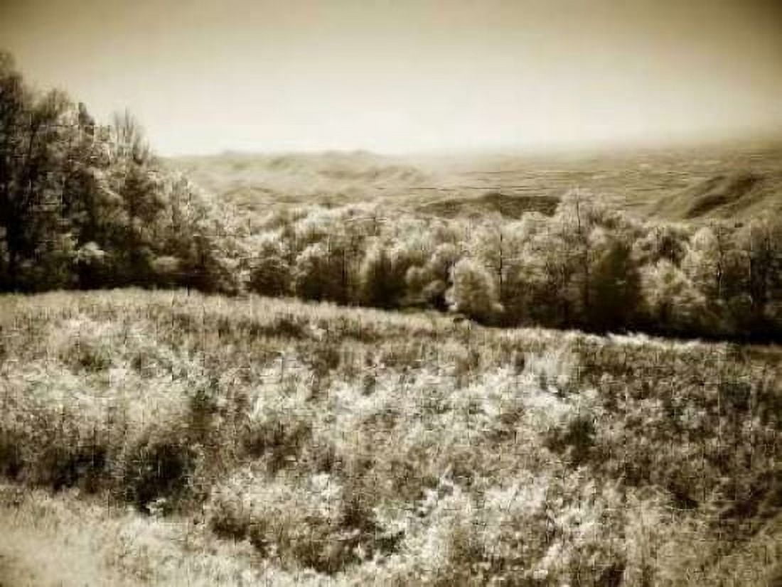 Piney Mountain I Canvas Art - Alan Hausenflock (18 x 24)
