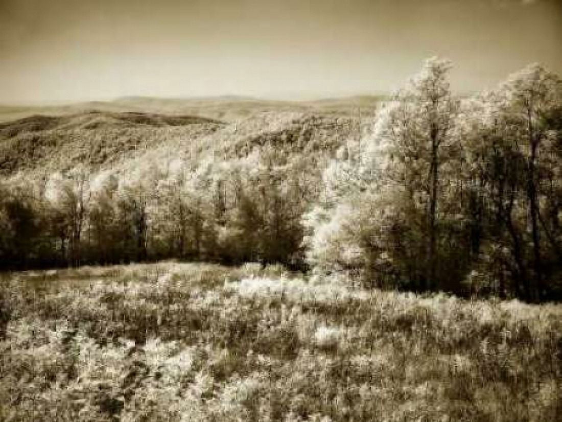 Piney Mountain II Canvas Art - Alan Hausenflock (18 x 24)
