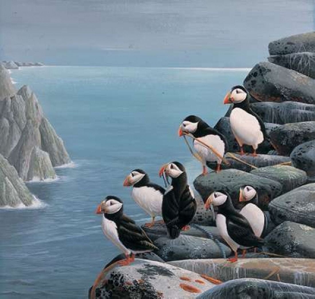 Pinguins Canvas Art - Jan Weenink (24 x 24)