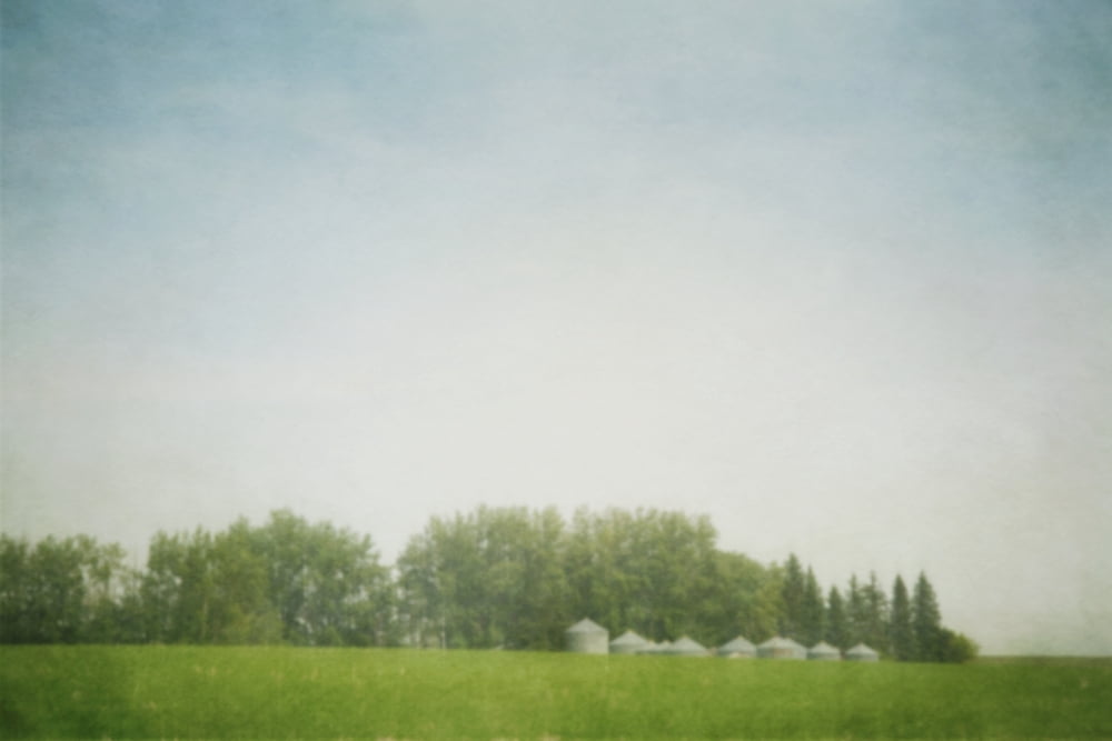 Pinhole pictorialism style of grain bins and a windrow of trees on the hill of a prairie farm olds alberta canada Canvas Art - Roberta Murray Design Pics (38 x 24)