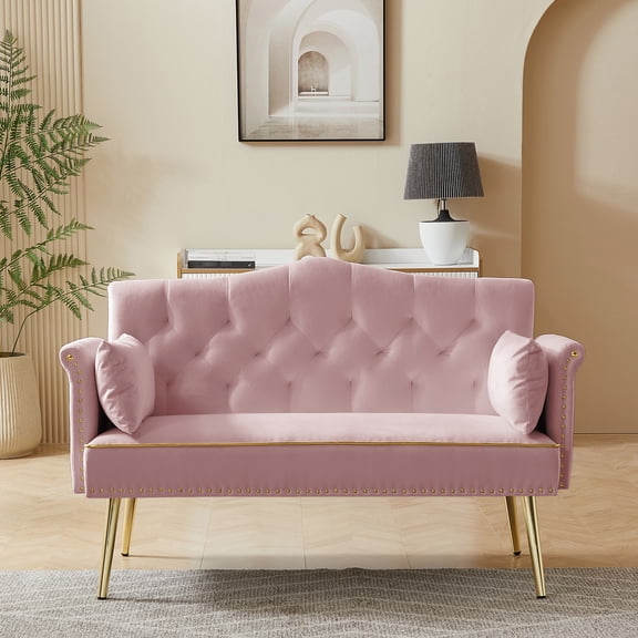 Pink 2 Person Sofa / Contemporary Tufted Style for Comfort / Living Space Addition