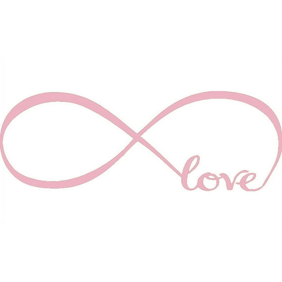 Pink 22" x 61" Infinity Symbol Word Love Vinyl Art Decal