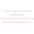 thumbnail image 1 of Pink 22" x 9" Pink 22" x 9" "For I know the plans i have for you," declares the Lord..... Vinyl Wall Art Home Decor Decal Sticker, 1 of 1
