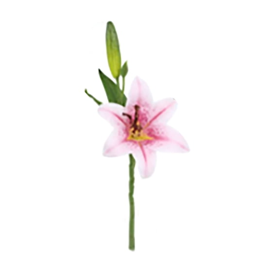 Pink 6pcs Real Lilies With Buds Silk Flowers for Home Wedding Party Artificial Bouquet Decoration