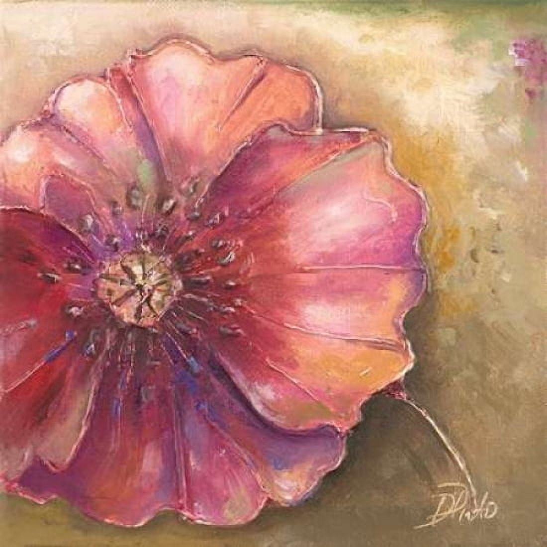 Pink Accent I Canvas Art - Patricia Pinto (24 x 24)