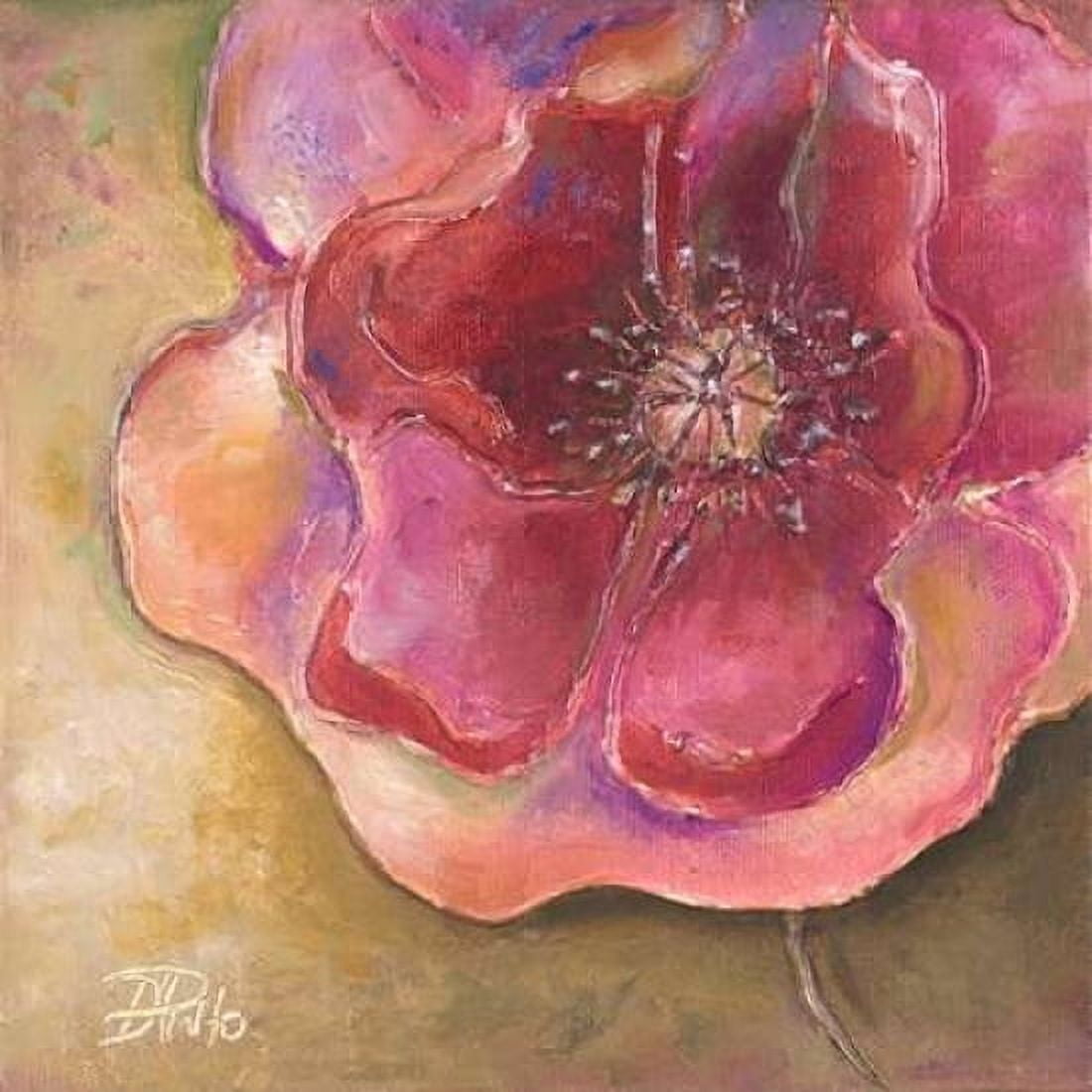 Pink Accent II Canvas Art - Patricia Pinto (24 x 24)