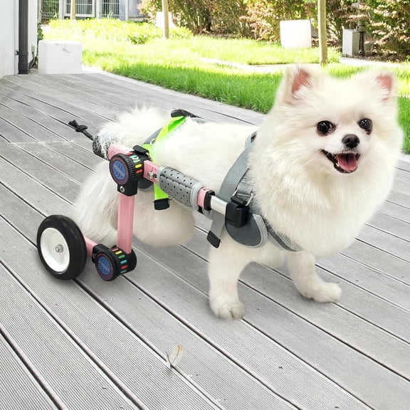 LetPetRun Dog Wheelchair for Back Legs, S Adjustable Lightweight Mobility Support Cart for Disabled Hind Legs, Stable Walking Aid for Pets, Pink