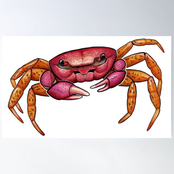 Pink And Orange Crab Poster Wall Art, Modern Wall Decor For Living Room Bedroom, 12x18 UNFRAMED