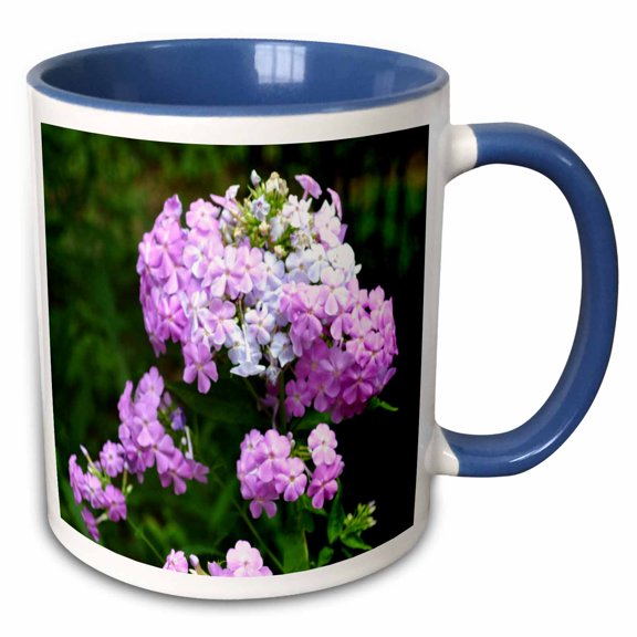 3drose, Pink and White Phlox Flowers Pink and White Flowers, 15oz Two-tone Blue Mug