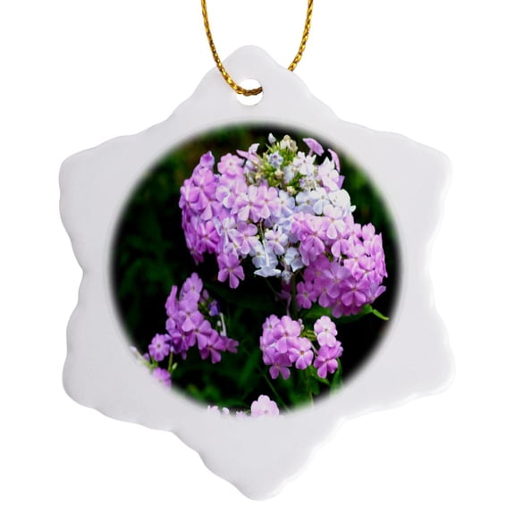 3drose, Pink and White Phlox Flowers Pink and White Flowers, 3 inch Snowflake Porcelain Ornament
