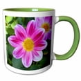 thumbnail image 1 of 3drose, Pink and Yellow Daisy Photo by Rhonda Albom, 11oz Two-tone Green Mug, 1 of 6