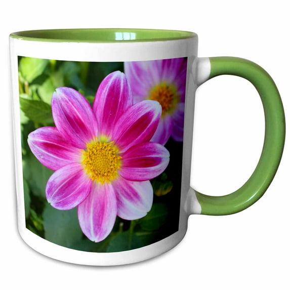3drose, Pink and Yellow Daisy Photo by Rhonda Albom, 11oz Two-tone Green Mug