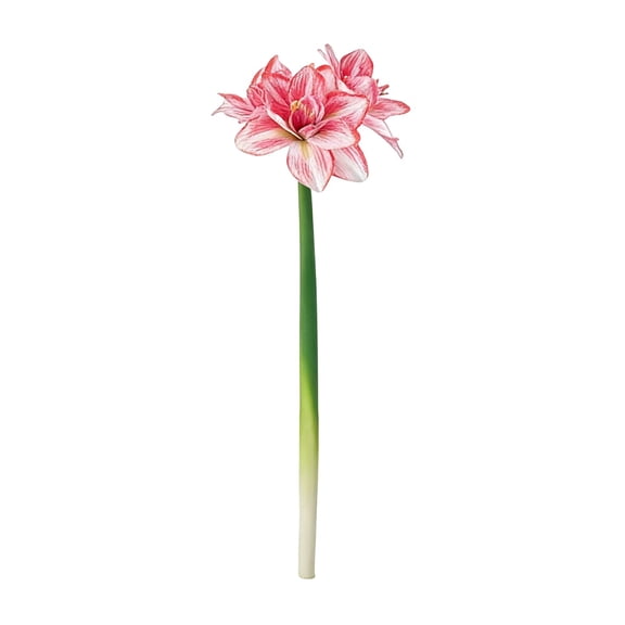 Pink Artificial Clivia Amaryllis Flower 1Pc Faux Realistic Blooms Tall 25.19 In Home Decor Wedding Centerpiece Vase Floral Arrangement