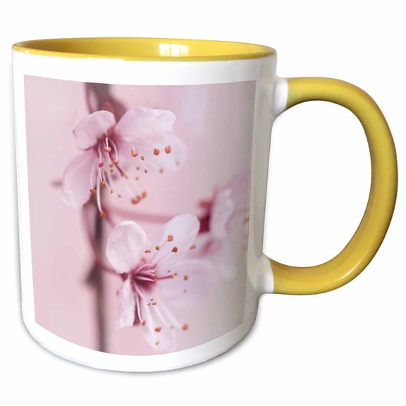 3drose, Pink Asia Sakura Cherry Blossom Nature, 11oz Two-tone Yellow Mug