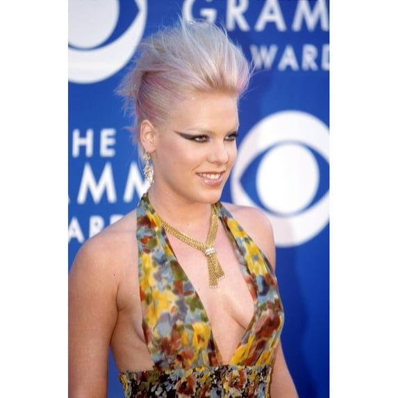 Pink At 2002 Grammy Awards, La, Ca 2272002, By Robert Hepler Celebrity (16 x 20)