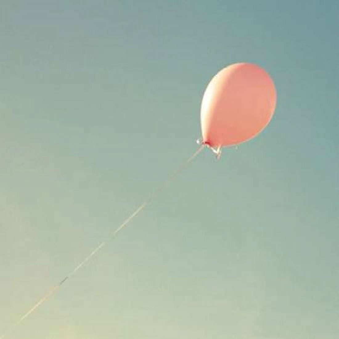 Pink Balloon Canvas Art - Vicki Dvorak (24 x 24)
