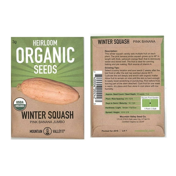 Pink Banana Jumbo Winter Squash Garden Seeds - 3 g Packet - Organic, Non-GMO, Heirloom - Vegetable Gardening Seed