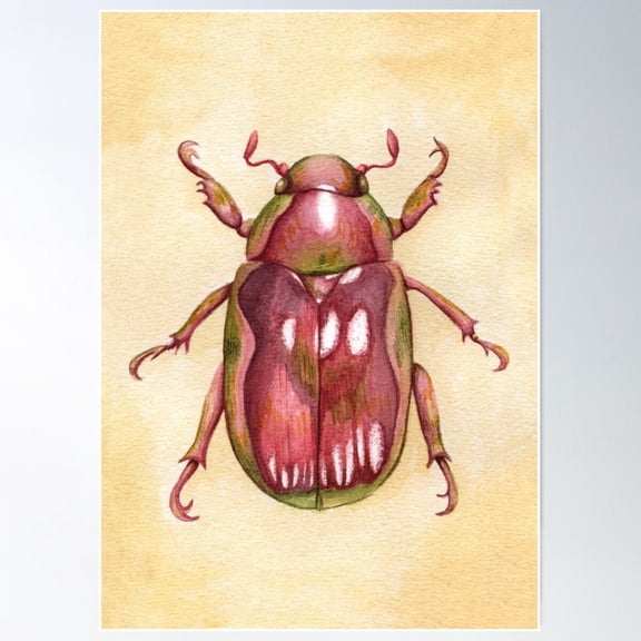 Pink Beetle Poster Wall Art, Modern Wall Decor For Living Room Bedroom, 12x18 UNFRAMED