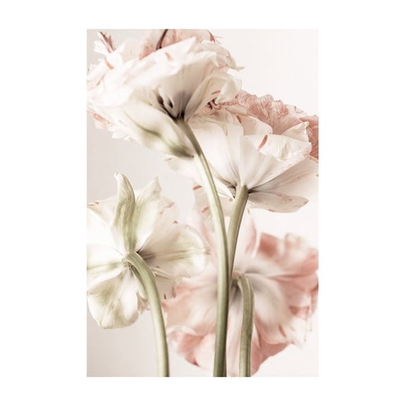 Pink Bloom Print Wall Art, Modern Wall Decor For Living Room Bedroom, 8x12 UNFRAMED