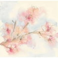 thumbnail image 1 of Pink Blossoms II Poster Print by Chris Paschke, 1 of 2