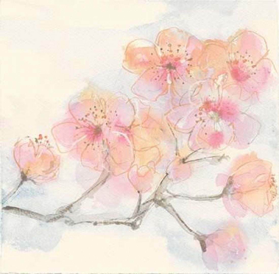Pink Blossoms III Canvas Art - Chris Paschke (24 x 24)