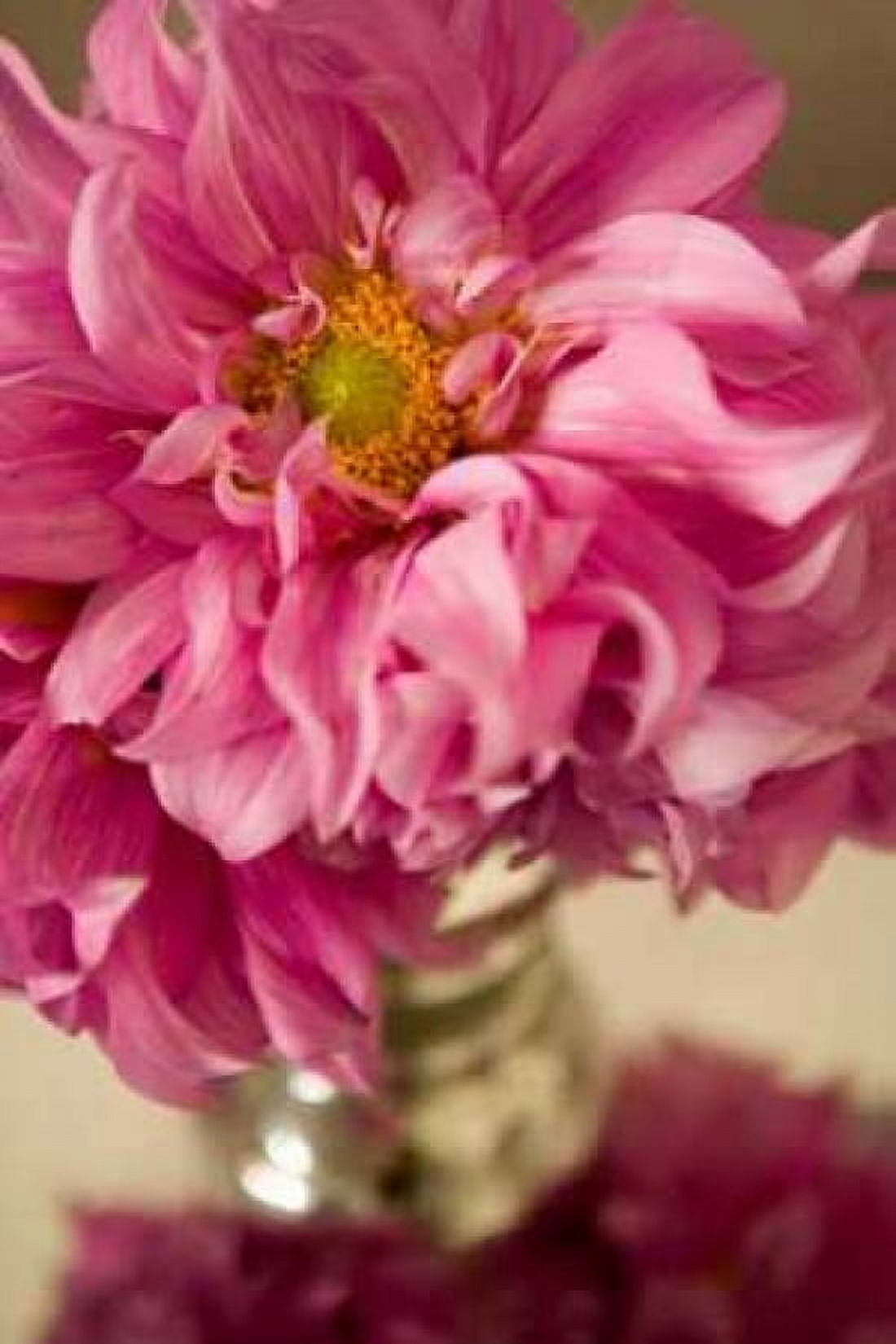 Pink Bouquet Canvas Art - Karyn Millet (24 x 36)