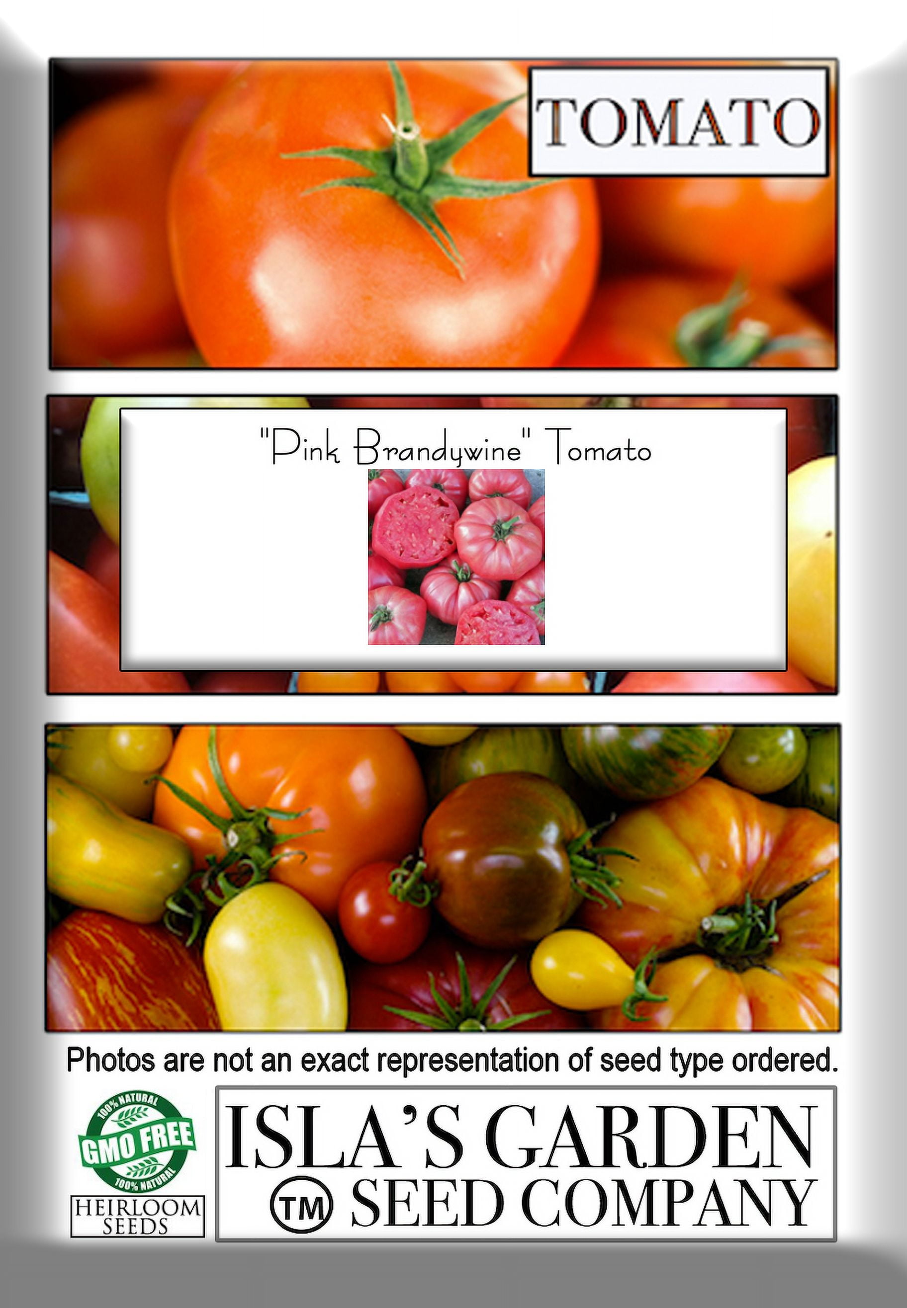 Pink Brandywine Beefsteak Tomato Seeds for Planting, 100+ Heirloom Seeds  Per Packet Non GMO Seeds, Botanical Name Solanum lycopersicum, Great Home  Garden Gift 