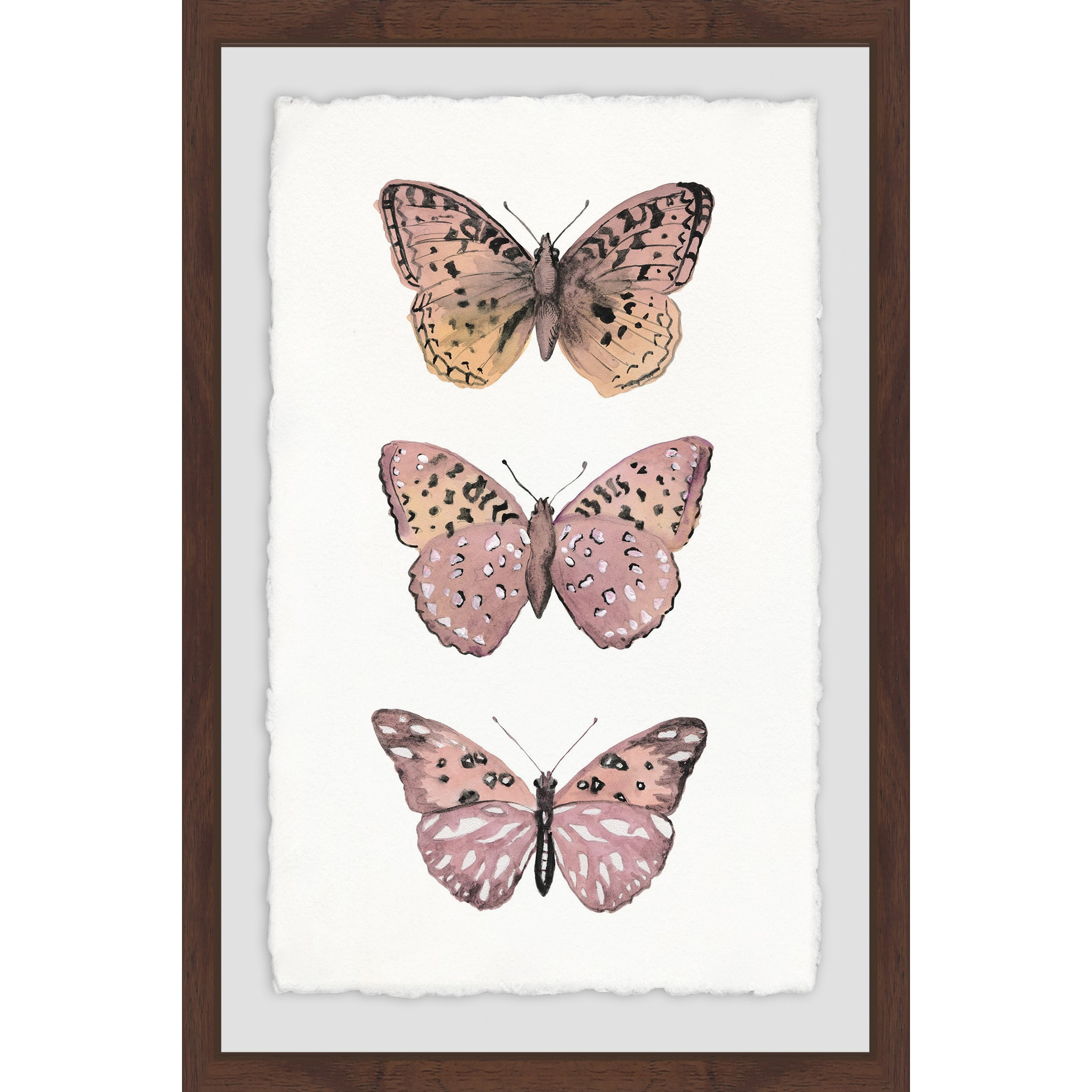 Pink Butterfly Trio Canvas Print with Dark Brown Frame