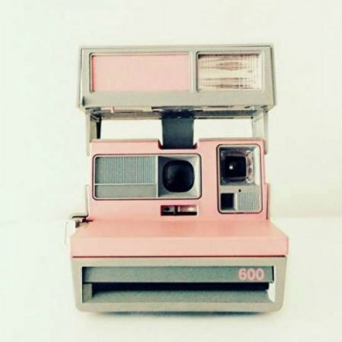 Pink Cam Canvas Art - Vicki Dvorak (24 x 24)