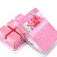 thumbnail image 1 of Pink Carnation, Soy Melt Cubes, 2-Pack, 1 of 2